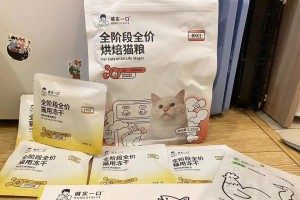 《寻找猫咪的冒险之旅——以朵拉为导游》（一起探索神秘的世界，找到可爱的小猫咪！）