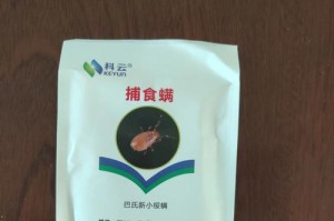 魔法蜘蛛（让你成为顶尖玩家的装备选择秘籍！）