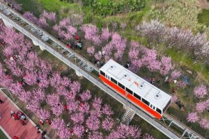 山城之约游戏攻略（山城之约游戏攻略全方位解析，帮你成为真正的山城之王！）
