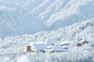 探索阿尔卑斯山脉（阿尔卑斯出装攻略、旅游指南、必备装备推荐一网打尽）