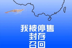 奇妙主妇出装攻略（教你如何打造充满魅力的主妇出装风格）