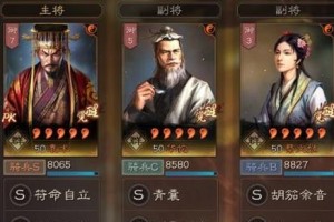 《三国战记中蔡文姬技能加点攻略》（灵活运用技能提升游戏实力）