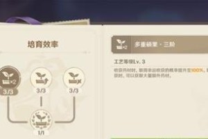 《原神攻略45以上，解锁新挑战！》（挑战等级提升，更多高级内容等你来探索！）
