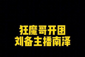 刘备南泽出装攻略（英雄联盟S级战士刘备在南泽地图上的最佳装备选择）