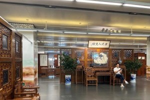 解密广州图书馆的游戏攻略（探索广州图书馆的奥秘，携手挑战游戏难题）